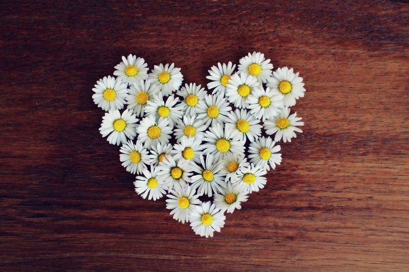 Loving-Kindness Meditation Image